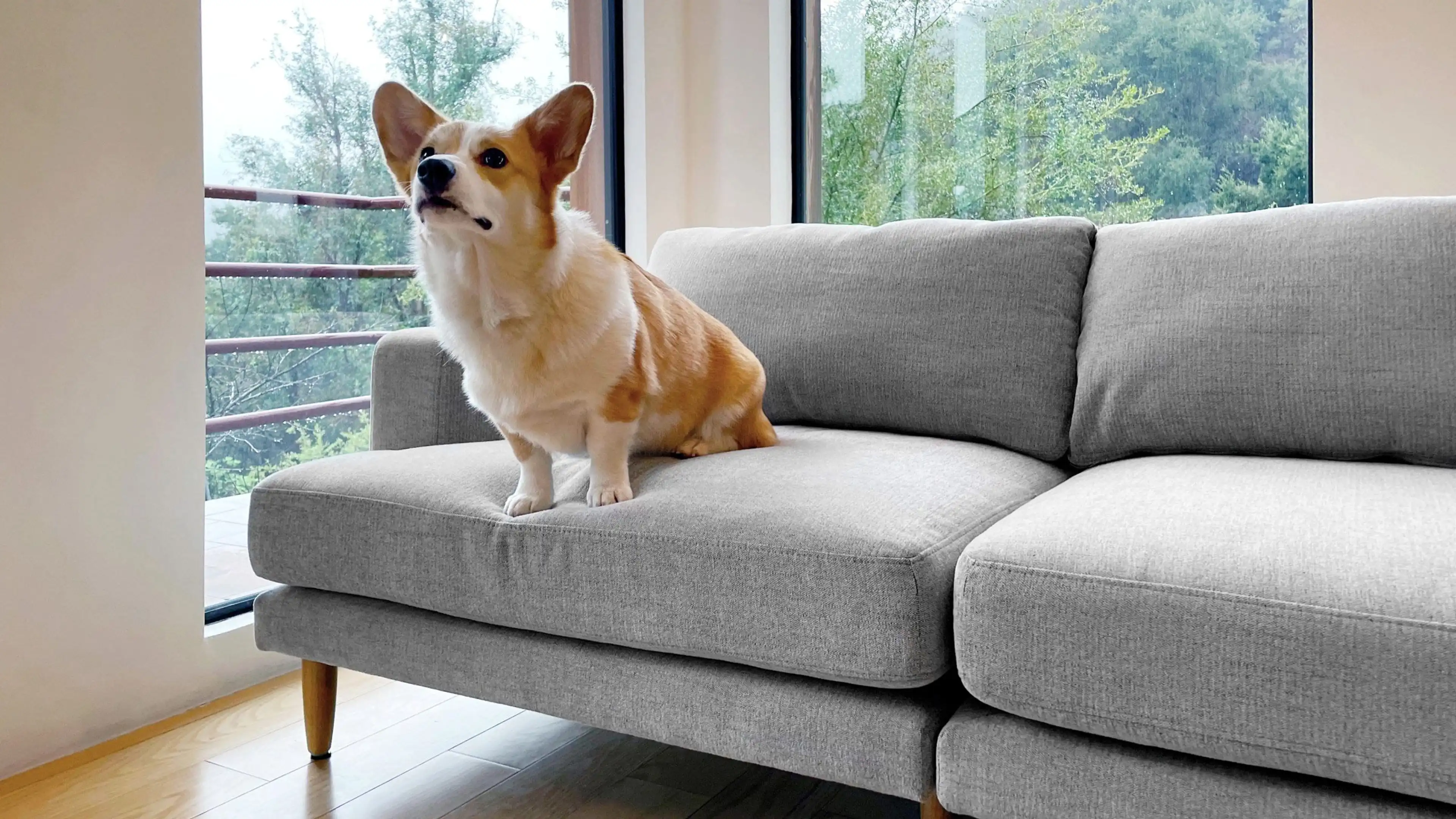 Ember Sofa